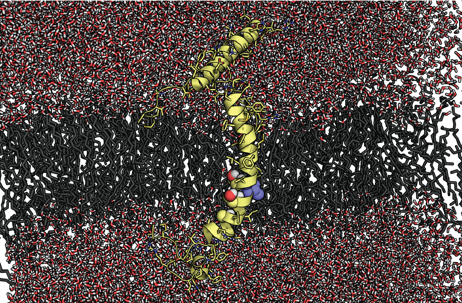 All-atom molecular dynamics of a channel segment in a lipid bilayer