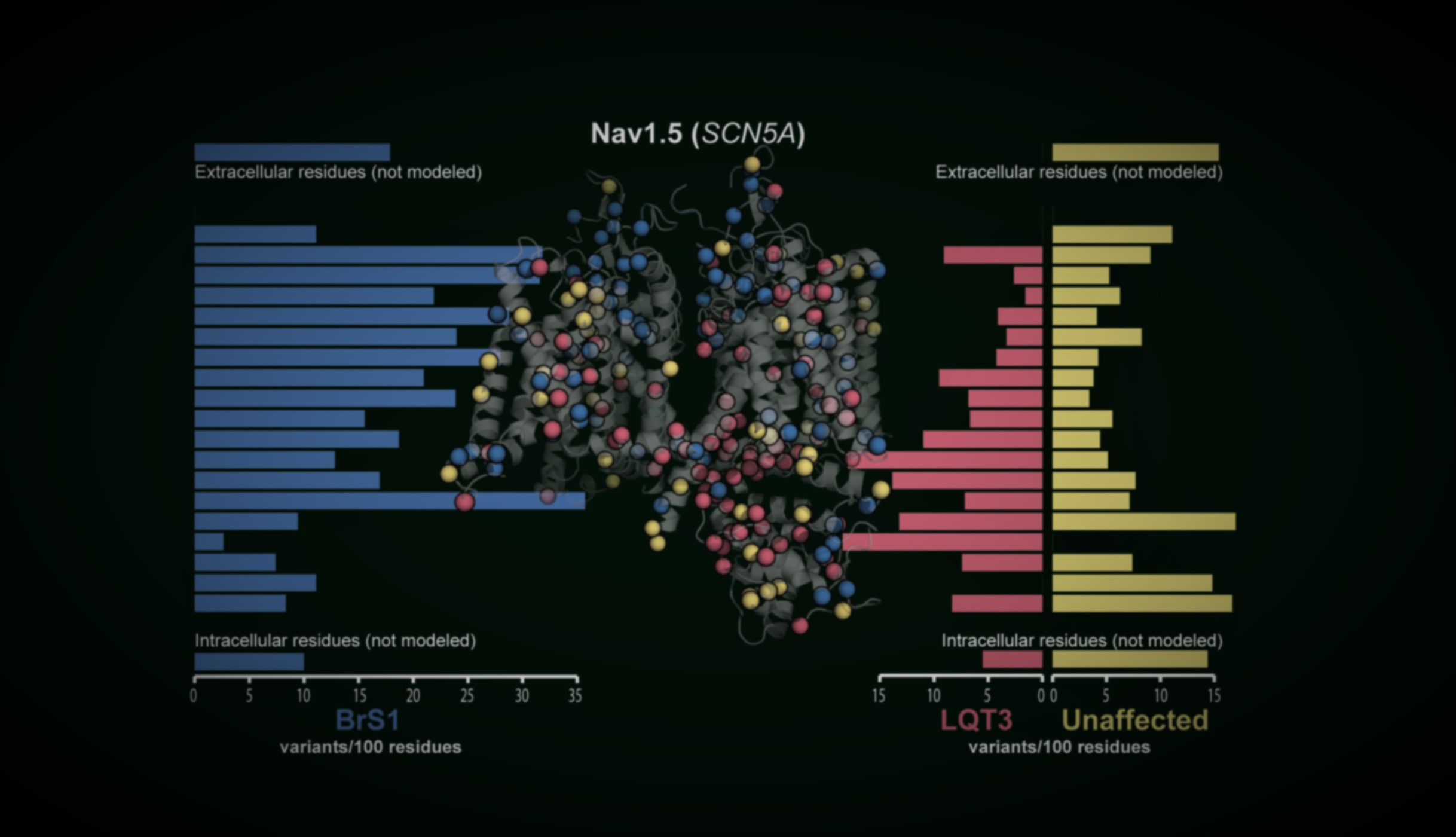 Disease-associated variants in Nav1.5 mapped onto structure
